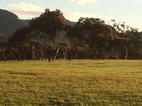 Grapevines Boutique Accommodation - Click Find 26