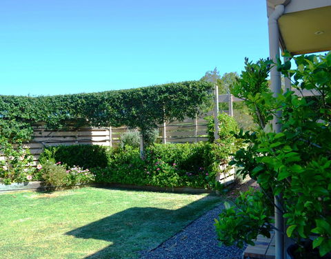 Grapevines Boutique Accommodation - Click Find 14