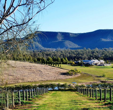 Grapevines Boutique Accommodation - Click Find 5
