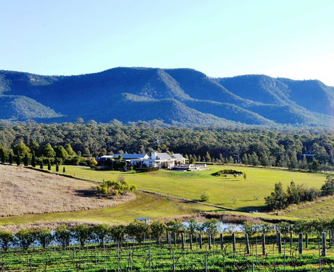 Grapevines Boutique Accommodation - Click Find 0
