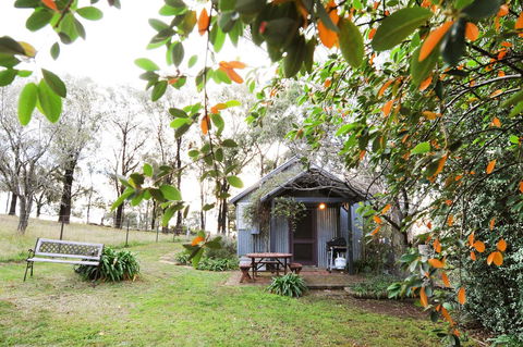 Stay In Mudgee - Lavinia 42