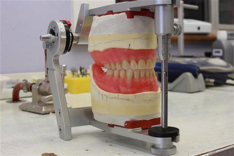 My Denture Clinic - Click Find 4