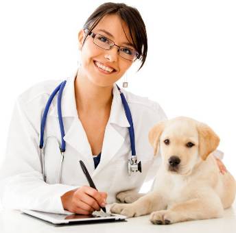 HIGHLANDS VETERINARY GROUP - DBD 0
