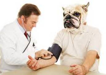 HIGHLANDS VETERINARY GROUP - DBD 2