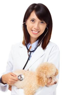 HIGHLANDS VETERINARY GROUP - DBD 3