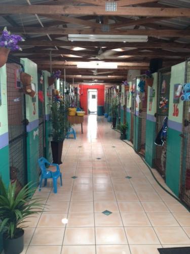 Hillcrest Pet Resort - Click Find 0