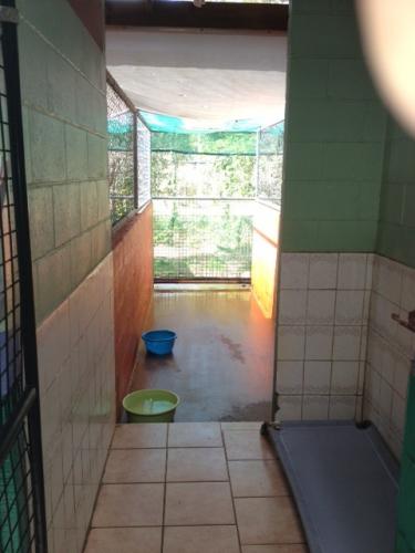 Hillcrest Pet Resort - Click Find 1