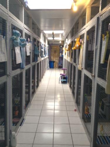 Hillcrest Pet Resort - Click Find 2