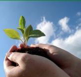 Vital Spirit Natural Health - Click Find