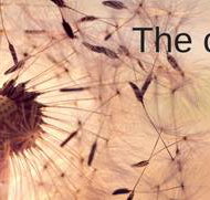 Darwin Financial Services - Bridge Guide