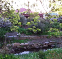 Frog Song at Willunga - Lawyer Find