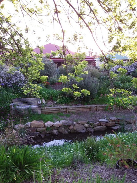 Frog Song At Willunga - Lawyer Find 0