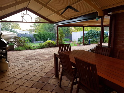 Frog Song At Willunga - Lawyer Find 13