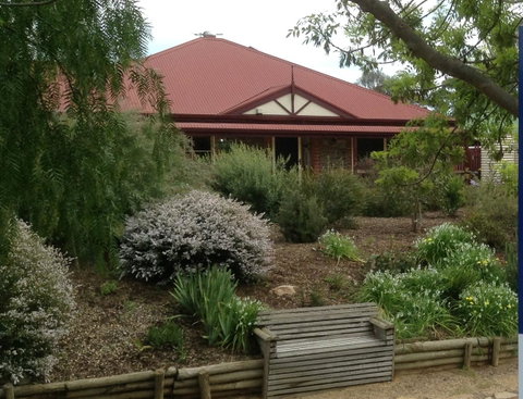 Frog Song At Willunga - Lawyer Find 1