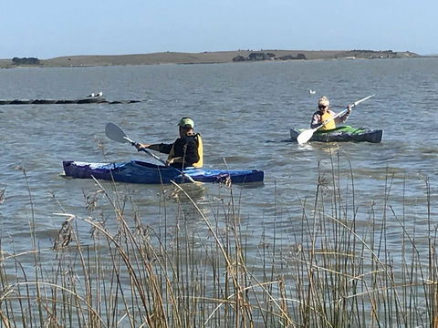 Hydeaway Bay - Own Private Bay + Kayaks - Click Find 30