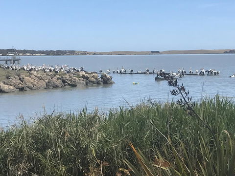 Hydeaway Bay - Own Private Bay + Kayaks - Click Find 34