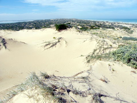 Coorong Waterfront Retreat - Click Find 32