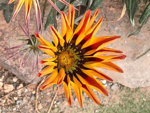 Aussie Opal Diggers Outback Retreat-Undergound - Bet 4u 26