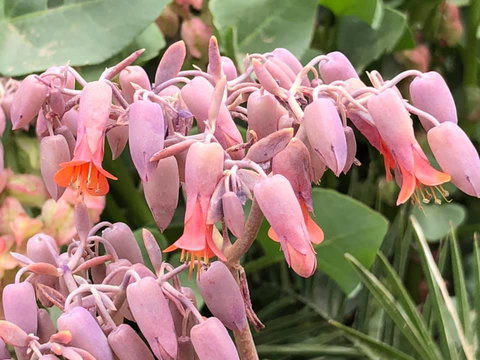 Aussie Opal Diggers Outback Retreat-Undergound - Bet 4u 27