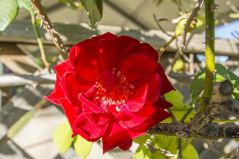 Stoneleigh Cottage Bed And Breakfast - Click Find 16