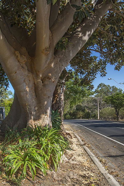 Stoneleigh Cottage Bed And Breakfast - Click Find 25