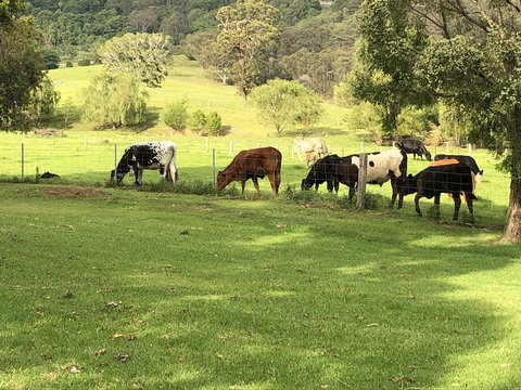 Arcadia - The Barn Cottage & Rosehill Cottage - Click Find 26