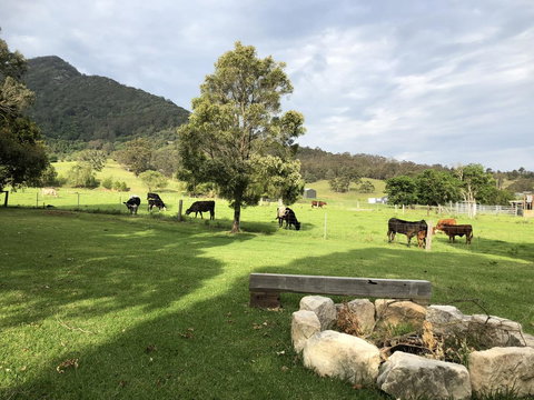 Arcadia - The Barn Cottage & Rosehill Cottage - Click Find 29