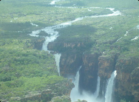 Mercure Kakadu Crocodile - Lawyer Find 33