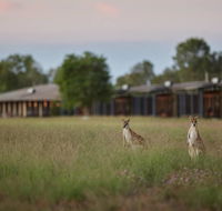 Wildman Wilderness Lodge - Click Find