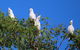 Kakadu Lodge - thumb 9