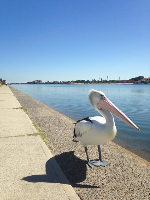 Lakeside - Bet 4u 12