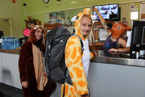 Backpack Oz - Who Is Search 10