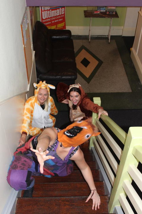 Backpack Oz - Who Is Search 13