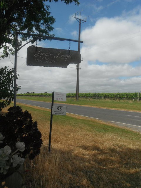 Linger Longer Vineyard - Lawyer Find 19