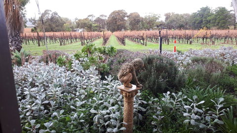 Linger Longer Vineyard - Lawyer Find 4