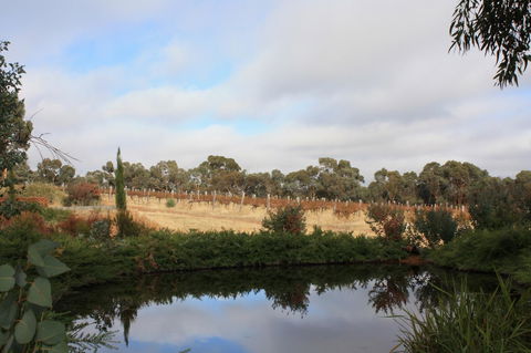 Hotham Ridge Winery And Cottages - DBD 27