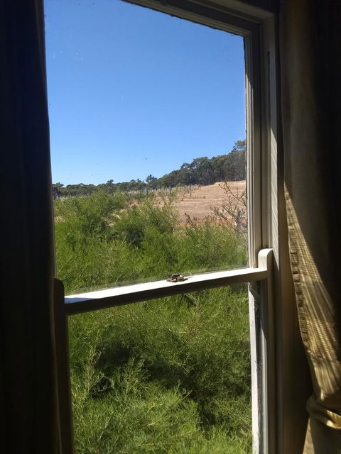 Hotham Ridge Winery And Cottages - DBD 8