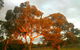 Hotham Ridge Winery And Cottages - thumb 35