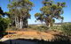 Hotham Ridge Winery And Cottages - thumb 19