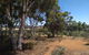 Hotham Ridge Winery And Cottages - thumb 13
