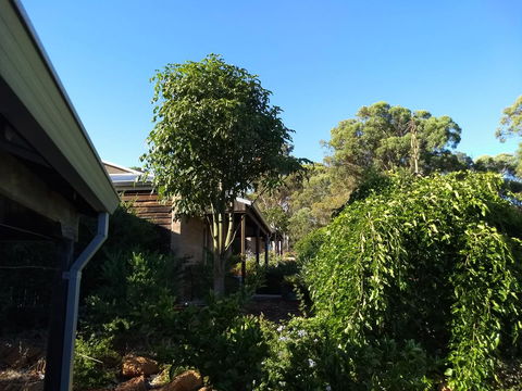 Hotham Ridge Winery And Cottages - DBD 5