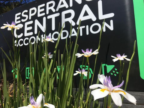 Esperance Central Accommodation - Lawyer Find 0
