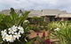 Mantra Frangipani Broome - thumb 25