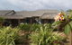Mantra Frangipani Broome - thumb 20