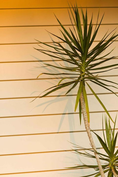 The Billi Resort - Click Find 44