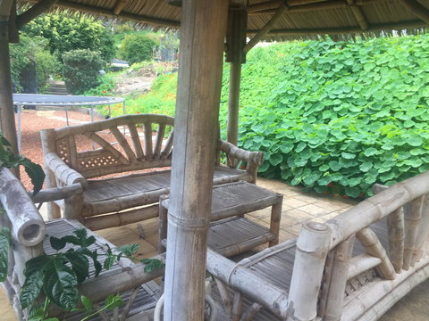 Bright & Beautiful Home On The Hills! - Bet 4u 25