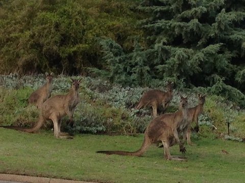 Bright & Beautiful Home On The Hills! - Bet 4u 31