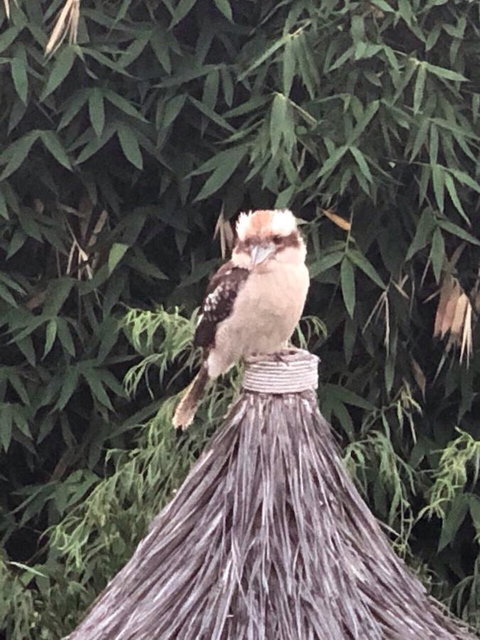 Bright & Beautiful Home On The Hills! - Bet 4u 27