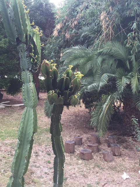 Bright & Beautiful Home On The Hills! - Bet 4u 29