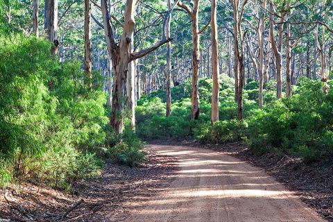 Margaret River Retreat - Bridge Guide 20